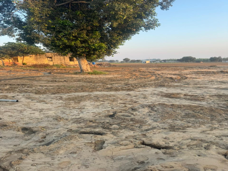  3 Acre Residential Plot for Sale in Beri, Jhajjar