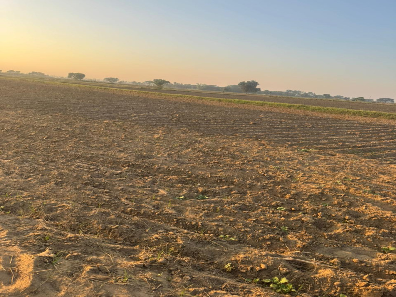  3 Acre Residential Plot for Sale in Beri, Jhajjar