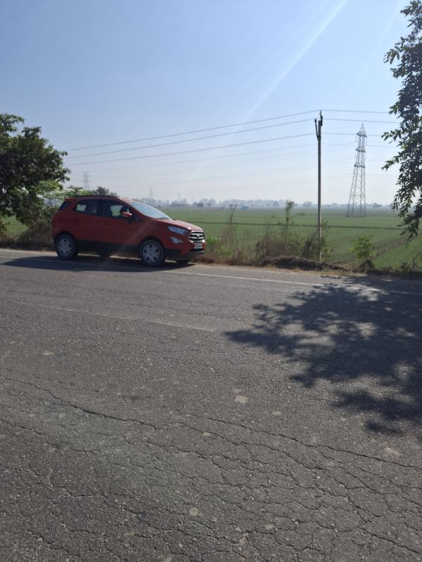  3100 Sq. Yards Agricultural/Farm Land for Sale in Dadri Road, Jhajjar