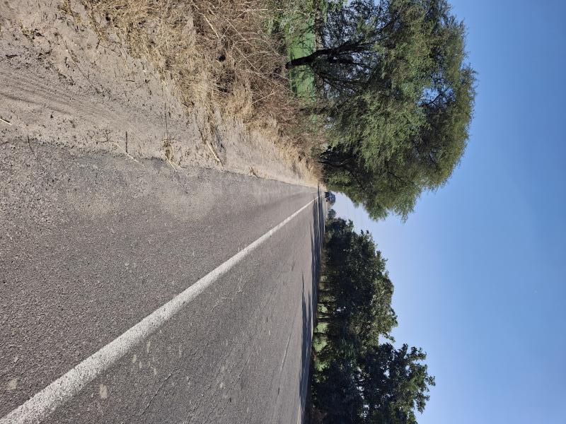  3100 Sq. Yards Agricultural/Farm Land for Sale in Dadri Road, Jhajjar