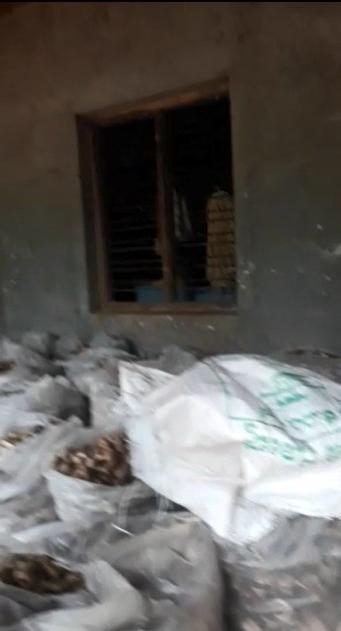  69 Ares Agricultural/Farm Land for Sale in Kundapura, Udupi