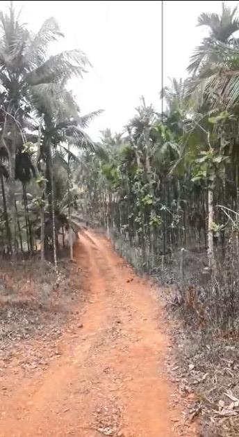  69 Ares Agricultural/Farm Land for Sale in Kundapura, Udupi