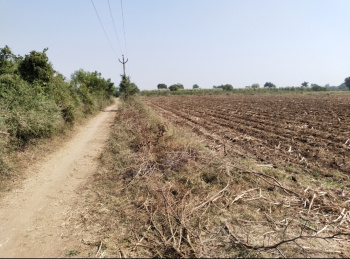  Agricultural Land for Sale in Jhagadia Gidc, Bharuch