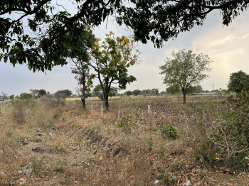  Agricultural Land for Sale in Pachore, Rajgarh