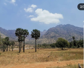  Agricultural Land for Sale in Marungur, Kanyakumari