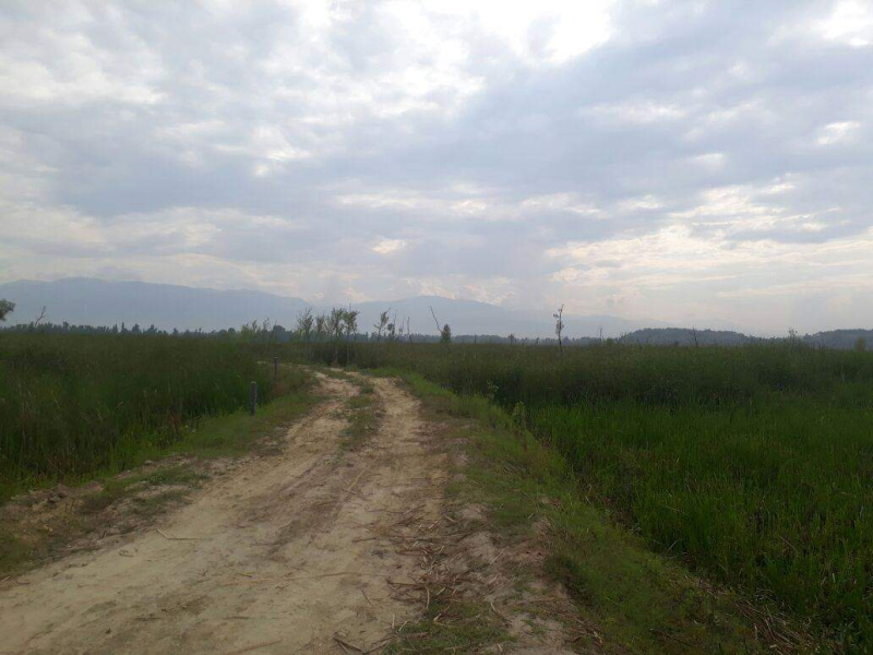  5400 Sq.ft. Residential Plot for Sale in Palpora, Srinagar