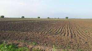  Agricultural Land for Sale in Gharaunda, Karnal