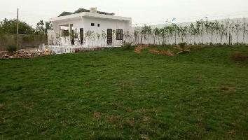  Farm House for Sale in Ganaur, Sonipat