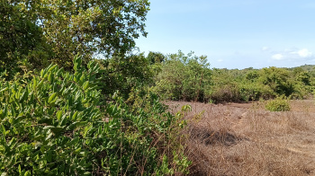  Residential Plot for Sale in Pernem, Goa