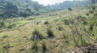  Industrial Land for Sale in Haroli, Una