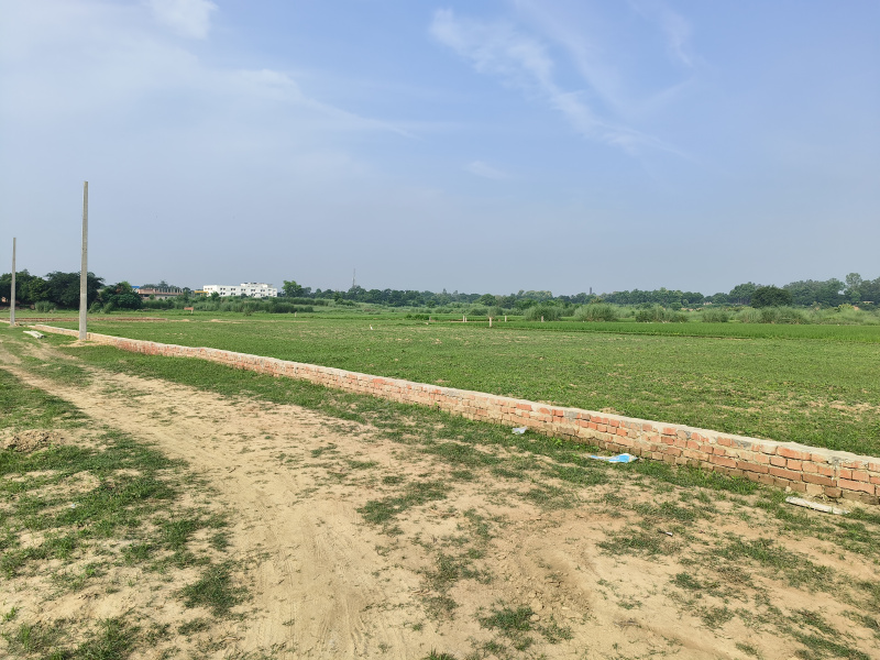  Residential Plot 1000 Sq.ft. for Sale in Faizabad Road, Sultanpur