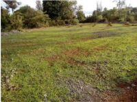  Agricultural Land for Sale in Mulbagal, Kolar