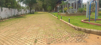  Agricultural Land for Sale in Denkanikottai, Krishnagiri
