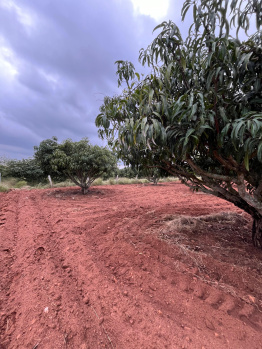  Agricultural Land for Sale in Thalli, Krishnagiri