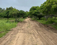 Agricultural Land for Sale in Thalli, Krishnagiri