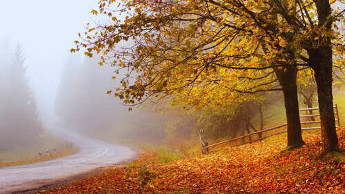  80 Acre Agricultural/Farm Land for Sale in Mysore Road, Bangalore