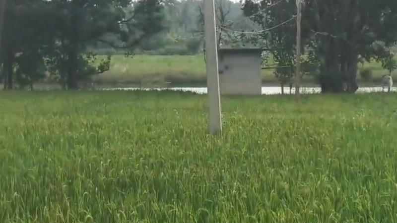  1 Acre Agricultural/Farm Land for Sale in Mysore Road, Bangalore