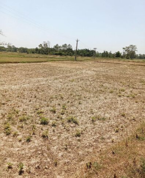  Agricultural Land for Sale in Ring Road 2, Bilaspur