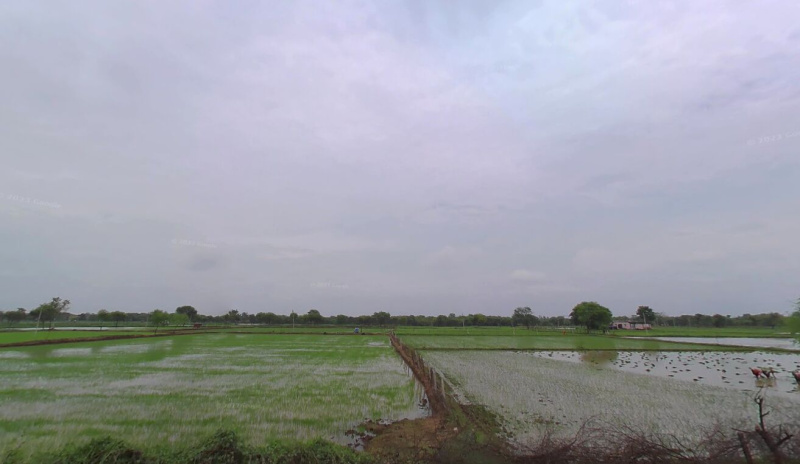  Agricultural Land 50 Acre for Sale in Bhilai, Durg