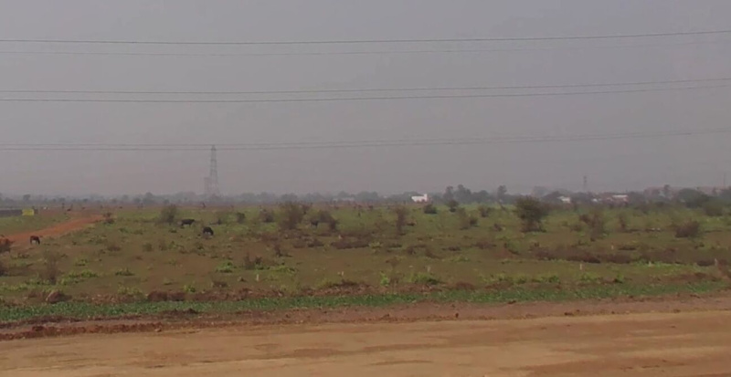  Agricultural Land 10 Acre for Sale in Urla, Raipur