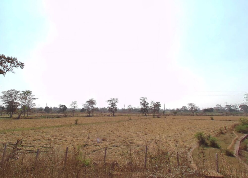  Industrial Land 5 Acre for Sale in Urla, Raipur