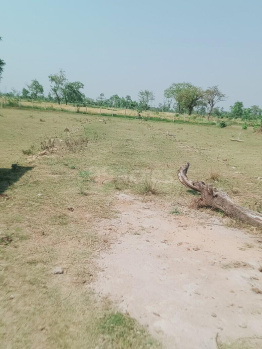  Agricultural Land for Sale in Haldi, Rajnandgaon