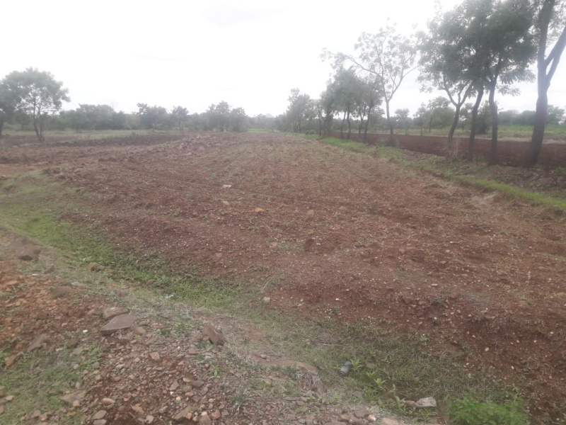  Industrial Land 15 Acre for Sale in Urla, Raipur