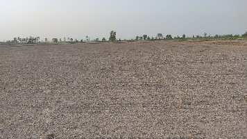  Agricultural Land 15 Acre for Sale in Chakarbhatha, Bilaspur