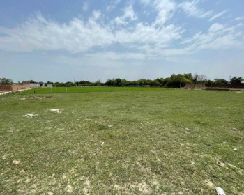  Agricultural Land for Sale in Dharamjaigarh, Raigarh