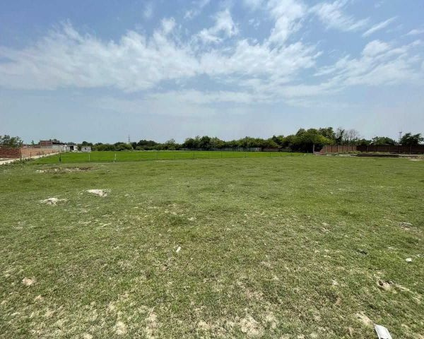  Agricultural Land 10 Acre for Sale in Dharamjaigarh, Raigarh