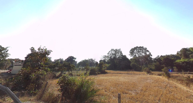  Agricultural Land 20 Acre for Sale in Uslapur, Bilaspur