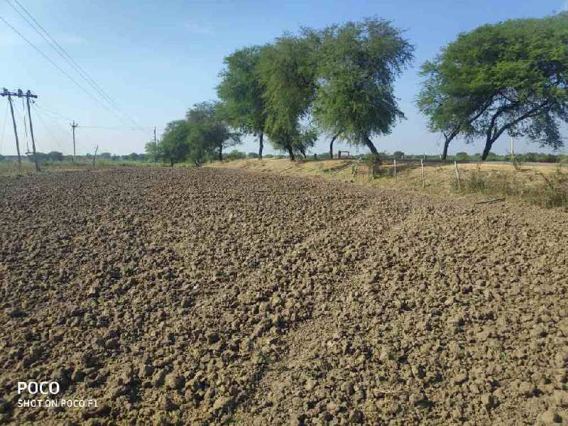  Agricultural Land 18 Acre for Sale in Khamhria, Bemetara