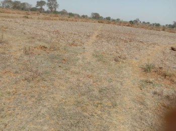  Agricultural Land for Sale in Bacheli, Dantewada