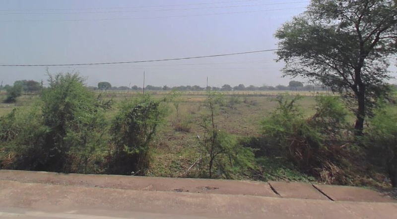  Agricultural Land 15 Acre for Sale in Kurud, Dhamtari