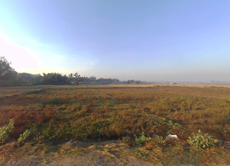  Agricultural Land 50 Acre for Sale in Kondagaon Kondagaon