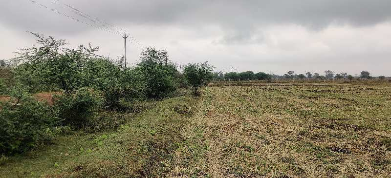  Industrial Land 16 Acre for Sale in Urla, Raipur