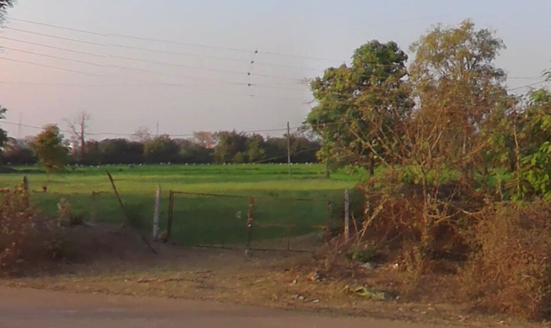  Agricultural Land 15 Acre for Sale in Dalli Rajhara, Balod