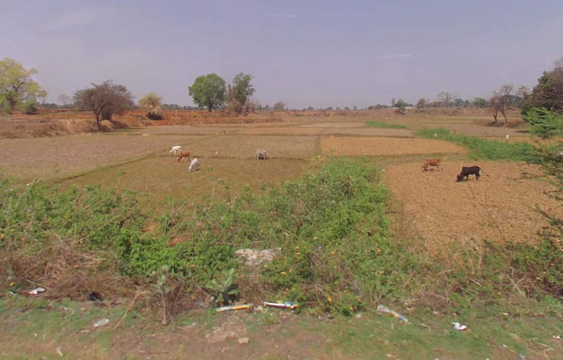  Agricultural Land 15 Acre for Sale in Baikunthpur, Koriya