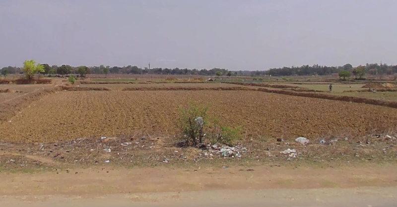  Agricultural Land 15 Acre for Sale in Vishrampur, Surajpur