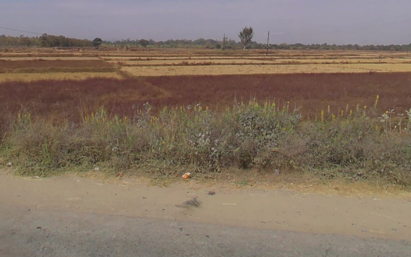  Agricultural Land 20 Acre for Sale in Ambikapur, Surguja