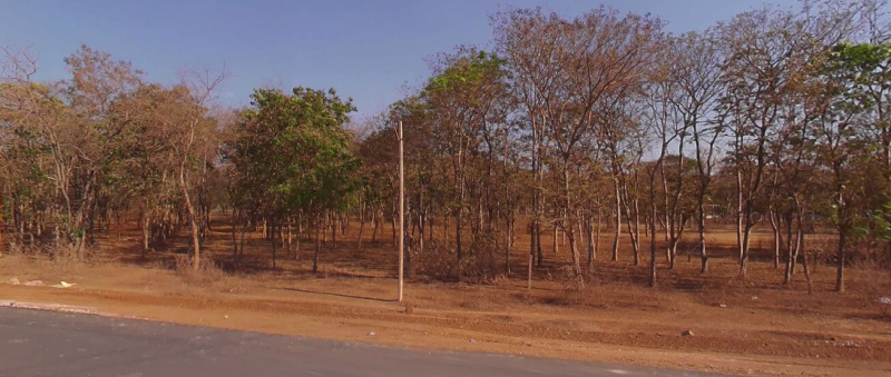  Agricultural Land 15 Acre for Sale in Ahiwara, Durg