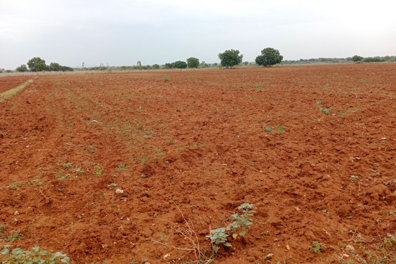  Industrial Land 42 Ares for Sale in Tilda, Raipur