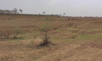  Industrial Land for Sale in Tilda, Raipur