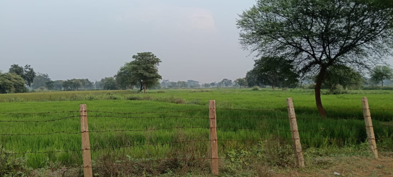  Agricultural Land 22 Acre for Sale in Dharsiwa, Raipur