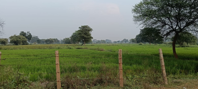  Industrial Land 11 Acre for Sale in Siltara, Raipur