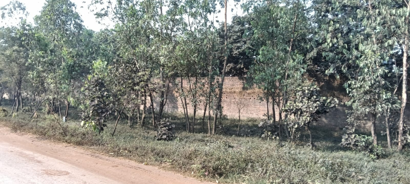  Industrial Land 11 Acre for Sale in Baloda Bazar, Raipur