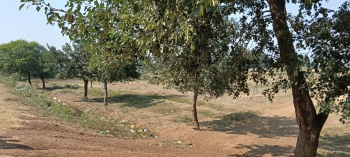  Industrial Land for Sale in Baloda Bazar, Raipur