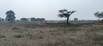  Industrial Land for Sale in Tilda, Raipur