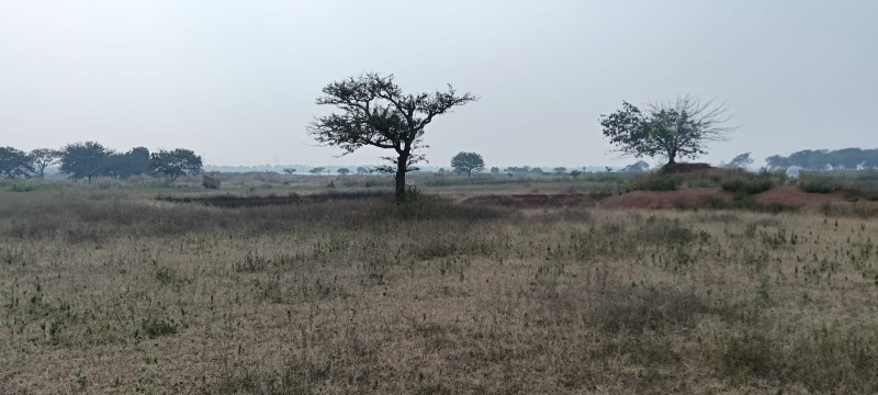  Industrial Land 20 Acre for Sale in Tilda, Raipur