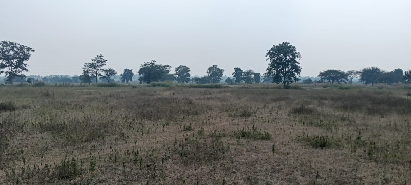  Industrial Land 20 Acre for Sale in Tilda, Raipur